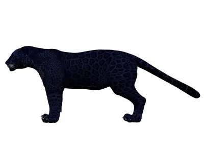 Black Panther Rigged 3D model