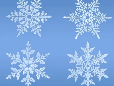 Snowflakes snowflake 3D model