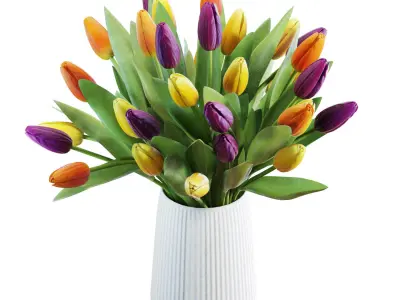 Flower Set 28 - Multicolor Tulips Bouquet 3D model
