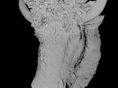 Bull Head Decoration 3D model