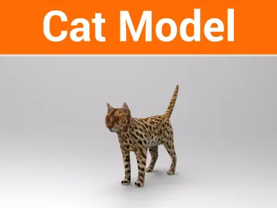 3D Wild Cat game ready low poly model  Low-poly 3D model