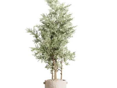 indoor plant stant 80 3D model