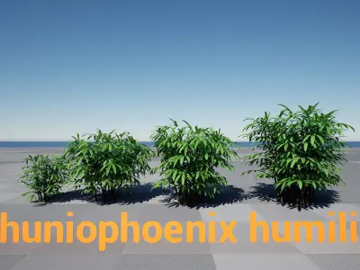 HQ Plants Volume 2 Palms for unreal engine 3D model set of 24 3D model