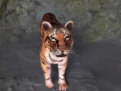 Tiger 3D model get