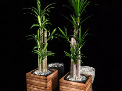 Plant 1 two plants in wooden boxes 3D model