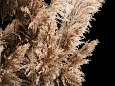 Deorative Bouquet In A Concrete Vase Of Dry Reeds 268 3D model