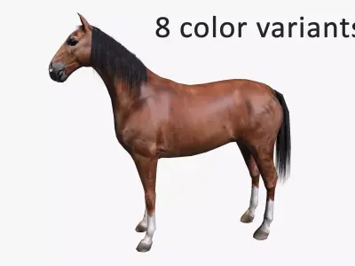 Horse Low-poly 3D model 9