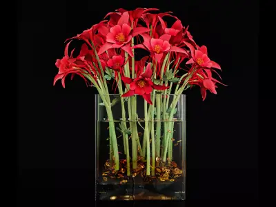 Plant 24 3D model