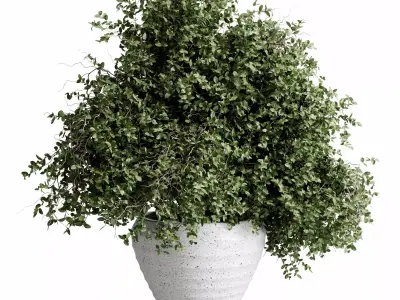 branches in a vase Bouquet 56 3D model