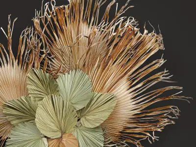 Wall decorations made of dry palm leaves 229 3D model