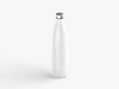 Water Sport Bottle - aluminum and plastic botle set Low-poly 3D model