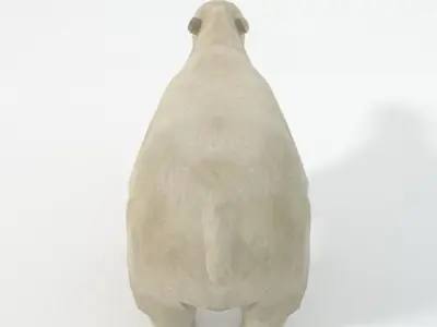 Polar Bear Low-poly 3D model 2