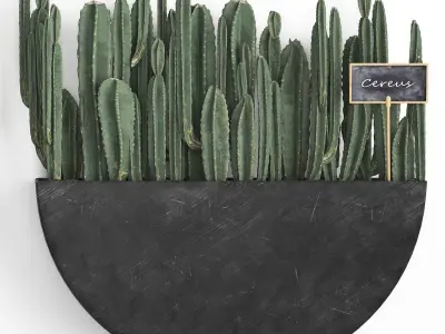 Cactus set wall decor vertical garden 55 3D model