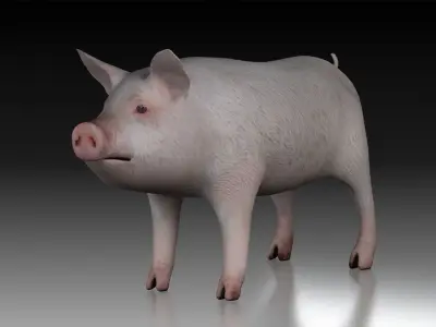 Pig wild Farm Teeth Eyes Trousers Dress Animals mammal animal 3D model