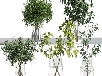 Collection Green Plants Bouquet Indoor 11 Low-poly 3D model