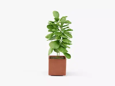 Plant 2 in concrete pot 3D model