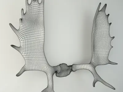 Moose Antler Rack Mount 3D model