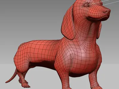 Dachshund 3D model
