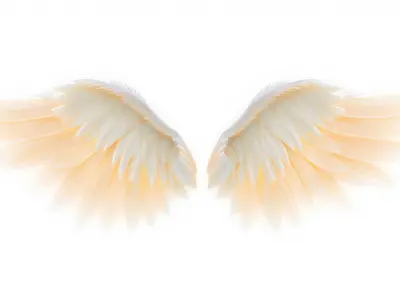 Shimmering Angelic Wings with Golden Highlights Low-poly 3D model