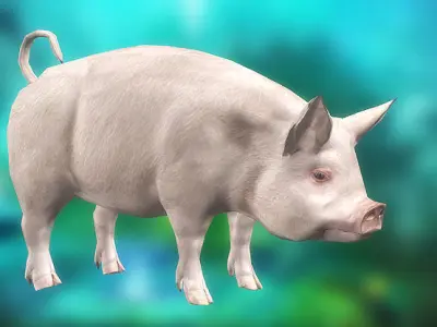 3DRT - Pig  Low-poly 3D model