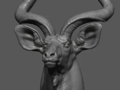 Greater Kudu Antelope bust 3D print model