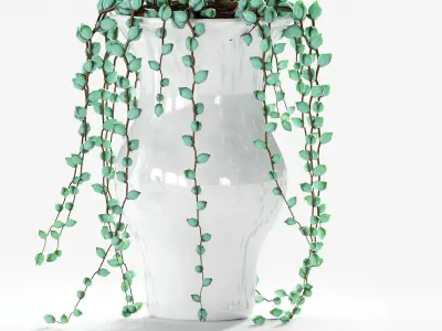 Succulents in pots - 3 models 3D model