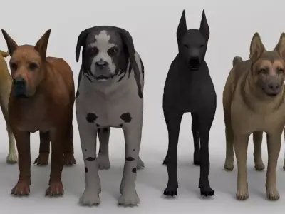 6 Dog Pack - Rigged Low-poly 3D model