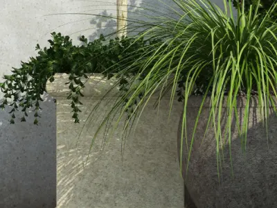 plant 36 Outdoor Planters 3D model