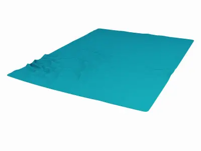 Fuleri Black carpet 3D model