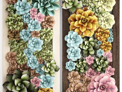Echeveria Vertical garden 3D model