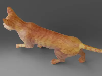 Cat Yellow V3 Rigged and Animated Low-poly 3D model