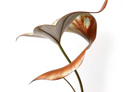 Rustic Floral Art Model Pack Low-poly 3D model