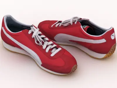Puma Whirlwind Shoes 3D model