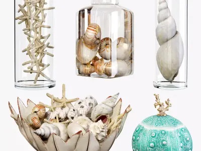Sea shell decorative set 01 3D model