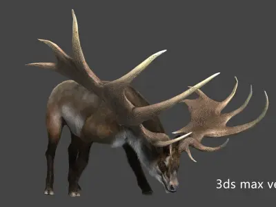 megaloceros elk deer moose Low-poly 3D model