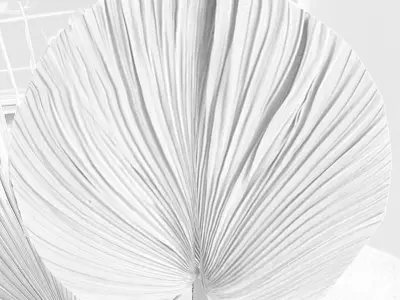 Bamboo fan  Free 3D model
