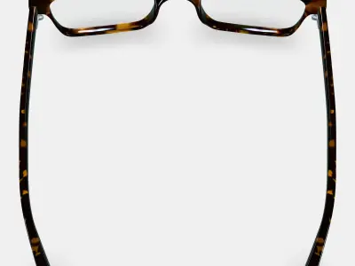 Langhorne Eyeglasses in Whiskey Tortoise 3D model