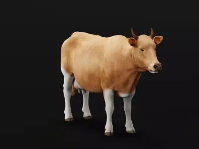 Javan Banteng Cattle 3D model