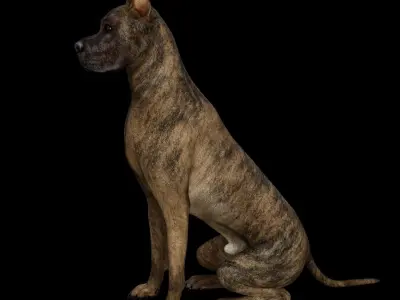 5 stand alone obj-11 3D model