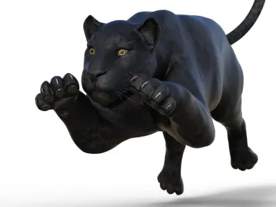 Panter panther 3D model