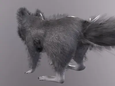 3D model Raccoon Animated Low-poly 3D model