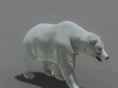 Pack - Mammals 3D model