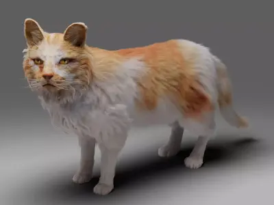 Fur Cat Calico  V02 Rigged Low-poly 3D model