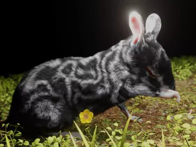 realistic animated and textured mouse 3D model