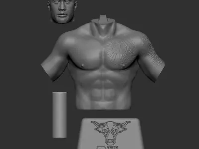 The Rock 3D Printable 4 3D print model