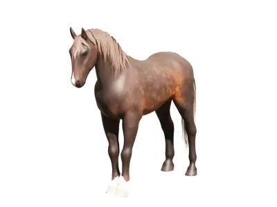 Realistic Rigged and Animated Horse 3D Model Low-poly 3D model