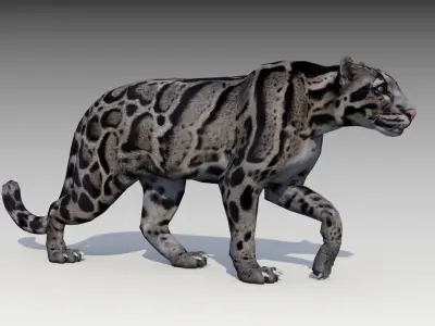 Clouded Leopard Low-poly 3D model