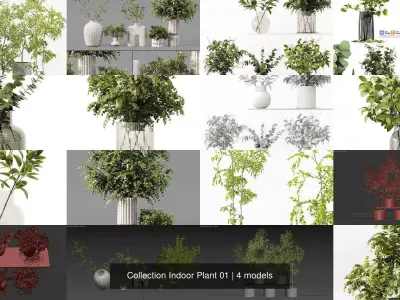 Collection Indoor Plant 01