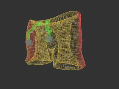 Swim Shorts 3d icon Low-poly 3D model