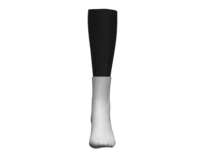 Womens Socks 3D model